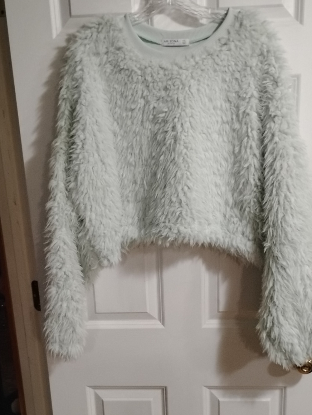 Arizona Jean Company Plush Cropped Crew Sweater in Pale Mint